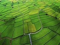 汉川?018年高标准农田建设项目